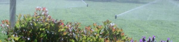 Externe WiFi-Steuerung für die Bewässerung – Hunter PHC-2401-E – für bis zu 24 Sektionen – Bild 8
